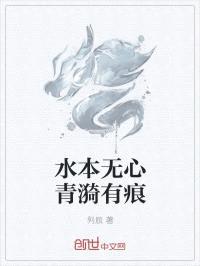 水本无心青漪有痕封面