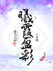 曦霞盈彩封面