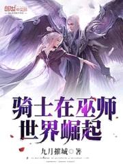 骑士在巫师世界崛起封面