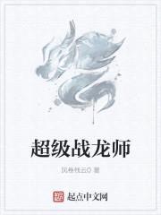 超级战龙师封面