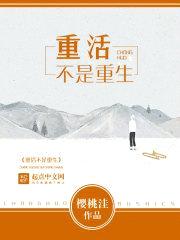 重活不是重生封面