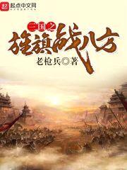 三国之旌旗战八方封面