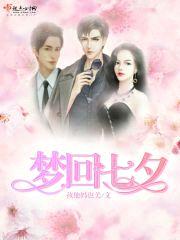 梦回七夕封面