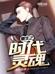 重生之时代灵魂封面