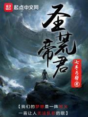 圣荒帝君封面