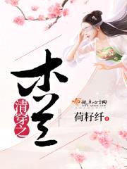 清穿之木兰封面