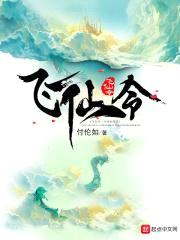 飞仙令封面