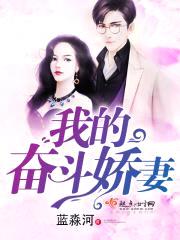 我的奋斗娇妻封面