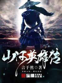山河英雄传封面