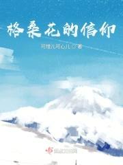 格桑花的信仰封面