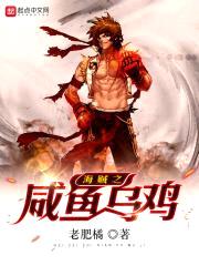 海贼之咸鱼乌鸡封面