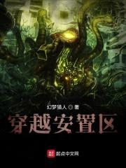 穿越安置区封面