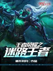 王者荣耀之迷路王者封面