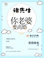 褚先生你老婆要离婚封面