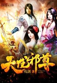 天龙邪尊封面