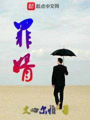 罪婿封面
