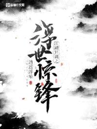 浮世惊锋封面