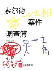 索尔德案件调查簿封面