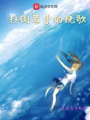 扑街写手的挽歌封面
