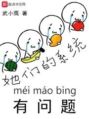 她们的系统有问题封面