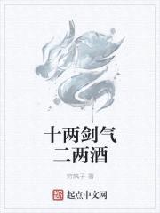 十两剑气二两酒封面