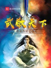 武敬天下封面