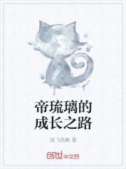 帝琉璃的成长之路封面