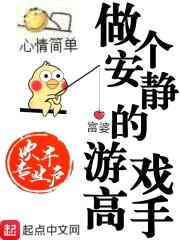 做个安静的游戏高手封面