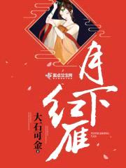 月下红雁封面