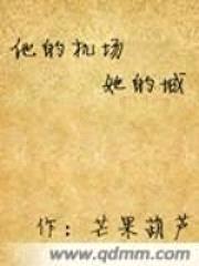 他的机场她的城封面