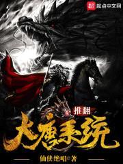 推翻大唐系统封面
