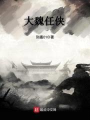 大魏任侠封面