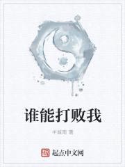 谁能打败我封面