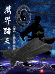 携界踏天封面