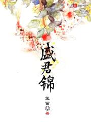 盛君锦封面