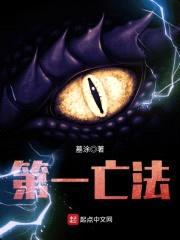 第一亡法封面