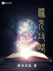 混元攻略封面