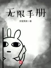 无限手册封面