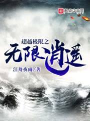 极限逍遥封面