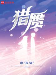 猎赝封面