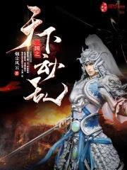 三国之天下动乱封面