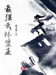 最强武林盟主封面