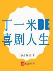 丁一米的喜剧人生封面
