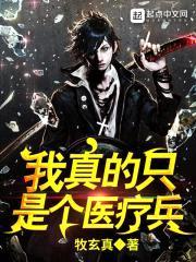 我真的只是个医疗兵封面