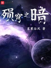 殒穹之暗封面