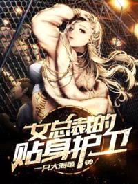 女总裁的贴身护卫封面