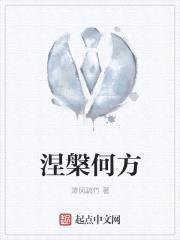 涅槃何方封面