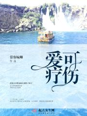 爱可疗伤封面