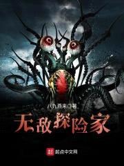 无敌探险家封面