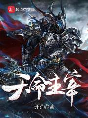 天命主宰封面